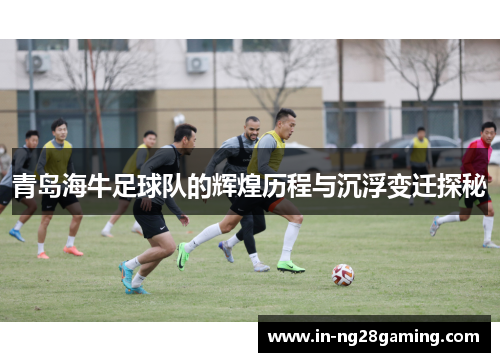 青岛海牛足球队的辉煌历程与沉浮变迁探秘