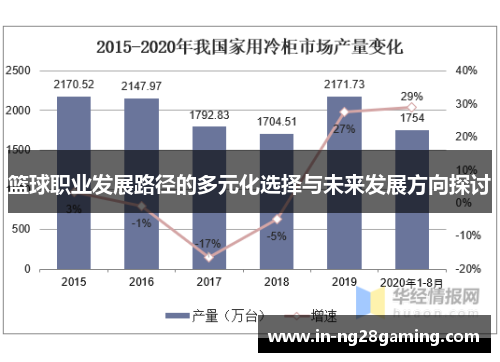 篮球职业发展路径的多元化选择与未来发展方向探讨